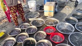 Рыбацкая деревня Mui Ne Phan Thiet улов на причале и запах моря