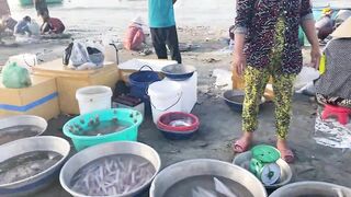 Рыбацкая деревня Mui Ne Phan Thiet улов на причале и запах моря