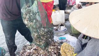 Рыбацкая деревня Mui Ne Phan Thiet улов на причале и запах моря