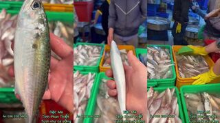 Phan Thiết Cá bạc má морская рыбалка на лёгкий каст у пирса