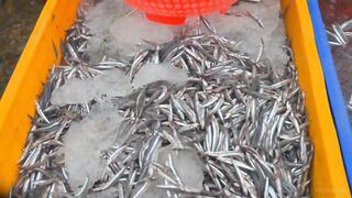 Конча. Рыбный рынок в Фантьете | Про Вьетнам