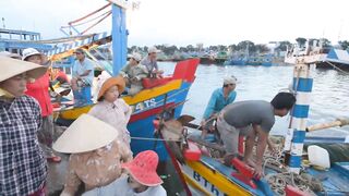 Конча. Рыбный рынок в Фантьете | Про Вьетнам