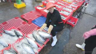 Конча. Рыбный рынок в Фантьете | Про Вьетнам