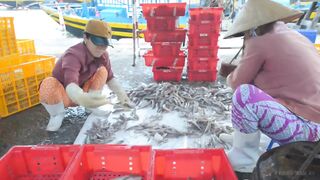 Конча. Рыбный рынок в Фантьете | Про Вьетнам