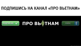Конча. Рыбный рынок в Фантьете | Про Вьетнам