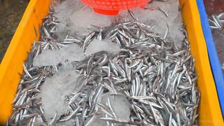 Конча. Рыбный рынок в Фантьете | Про Вьетнам