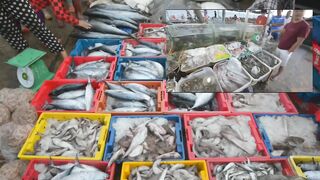 Конча. Рыбный рынок в Фантьете | Про Вьетнам