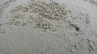 Дикарями во Вьетнам: Вунгтау и Лонг Хай — рыбалка по-местному