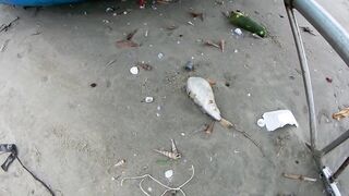 Дикарями во Вьетнам: Вунгтау и Лонг Хай — рыбалка по-местному