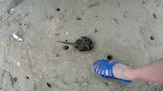 Дикарями во Вьетнам: Вунгтау и Лонг Хай — рыбалка по-местному