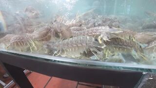 Вунгтау пляж морепродукты и короткий вечерний выход с лёгким спиннингом