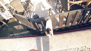 Айя-Напа ленивая рыбалка у камней и что клюёт на хлеб