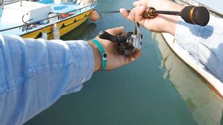 Айя-Напа порт в 2019: морская рыбалка на лёгкий спиннинг