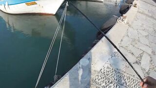 Айя-Напа порт в 2019: морская рыбалка на лёгкий спиннинг