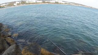 Айя-Напа порт в 2019: морская рыбалка на лёгкий спиннинг