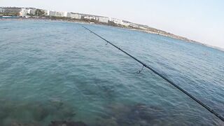 Айя-Напа порт в 2019: морская рыбалка на лёгкий спиннинг