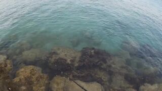 Айя-Напа порт в 2019: морская рыбалка на лёгкий спиннинг