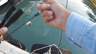 Айя-Напа порт в 2019: морская рыбалка на лёгкий спиннинг