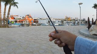 Айя-Напа порт в 2019: морская рыбалка на лёгкий спиннинг