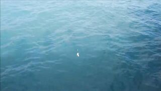 Лимасол 17.01.2019: вечер, огни и рыбалка на набережной