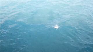 Лимасол 17.01.2019: вечер, огни и рыбалка на набережной