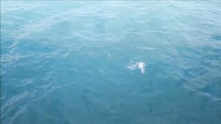 Лимасол 17.01.2019: вечер, огни и рыбалка на набережной