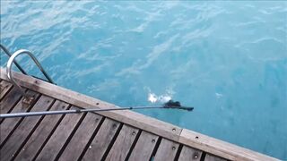 Лимасол 17.01.2019: вечер, огни и рыбалка на набережной