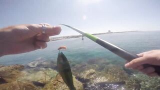 Cyprus Paphos морская рыбалка патруль по точкам и проверка свалов