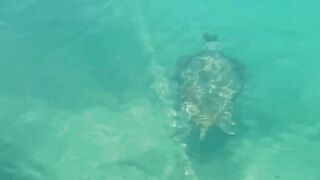 Cyprus Paphos морская рыбалка патруль по точкам и проверка свалов