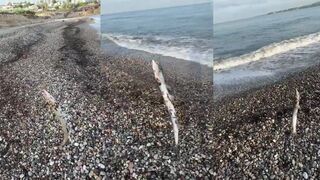 Paphos, Cyprus — спиннинг на лу́тсо (barracuda) у волнорезов