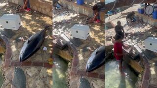 Big Tuna у бровки — троллинг или кастинг что сработало в штиль?