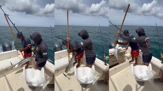 Bayahíbe, Доминикана, барракуда у кромки — какая проводка сработала