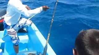 Bayahibe Fishing Centre Dominican Republic Captain Pepe Giant Wahoo Caught By Hand Line!