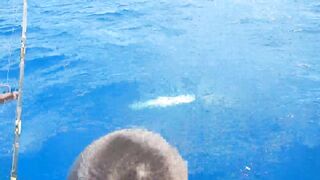 Bayahibe Fishing Centre Dominican Republic Captain Pepe Giant Wahoo Caught By Hand Line!