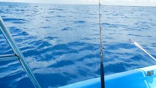 Bayahibe Fishing Centre Dominican Republic Captain Pepe Giant Wahoo Caught By Hand Line!