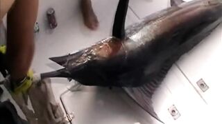 Playa Costa Verde, Holguin, Cuba