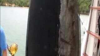 Playa Costa Verde, Holguin, Cuba