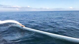 Dolphin-тур и лодка: морская рыбалка на Lovina в один выезд