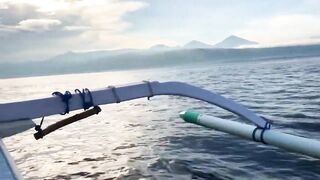 Dolphin-тур и лодка: морская рыбалка на Lovina в один выезд