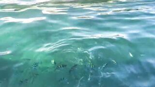 Dolphin-тур и лодка: морская рыбалка на Lovina в один выезд