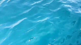 Dolphin-тур и лодка: морская рыбалка на Lovina в один выезд