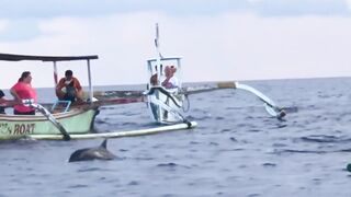 Dolphin-тур и лодка: морская рыбалка на Lovina в один выезд