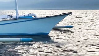 Dolphin-тур и лодка: морская рыбалка на Lovina в один выезд