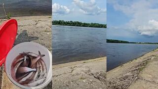 Россия рыбалка на Волге чехонь и провинция без прикрас