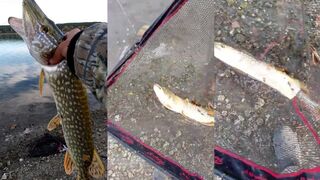 Симферопольское водохранилище: береговая рыбалка по ветру и где прячется судак