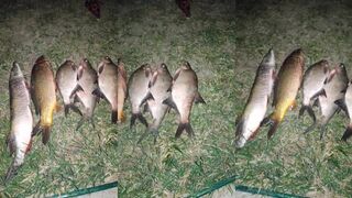 Симферопольское водохранилище карась окунь и берёт ли судак летом