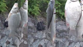 Крымское водохранилище в сезон: рыбалка с берега по свалам