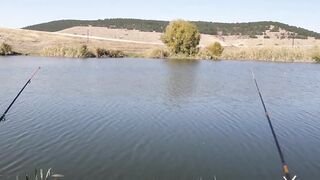 Строгоновка, Симферопольский р-н: рыбалка на мель и у коряг