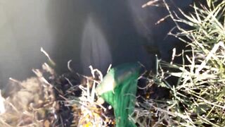 Строгоновка, Симферопольский р-н: рыбалка на мель и у коряг