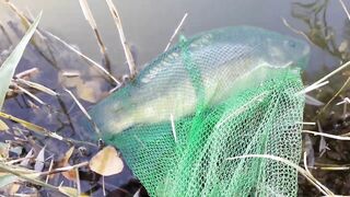 Строгоновка, Симферопольский р-н: рыбалка на мель и у коряг